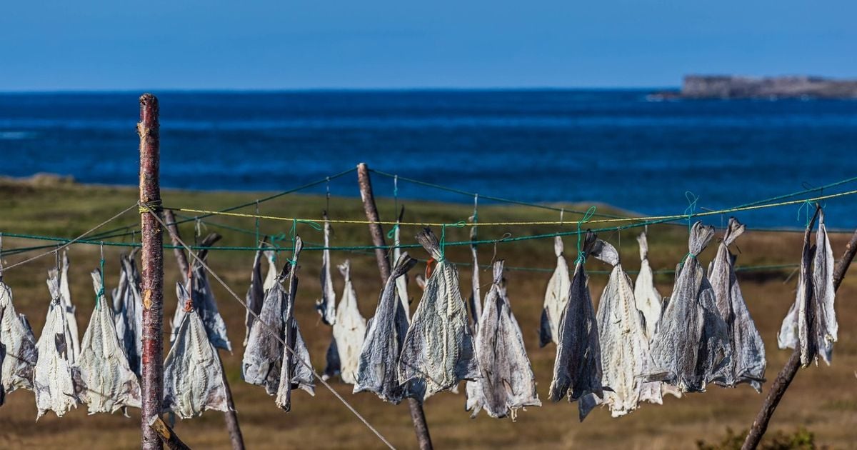 Cod Fish Labrador The Recipe That Made Me Finally Love Cod - Chatelaine