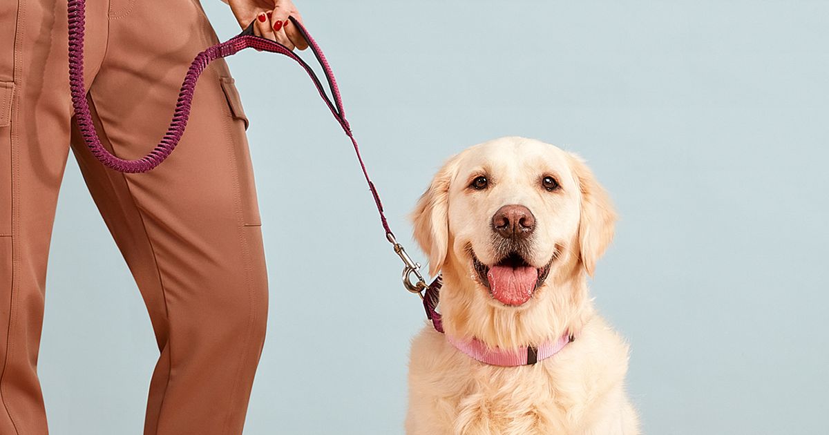 We Love This HandsFree Dog Leash Chatelaine