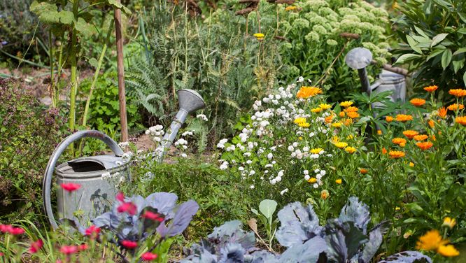 Why I’m Quiet Quitting My Garden
