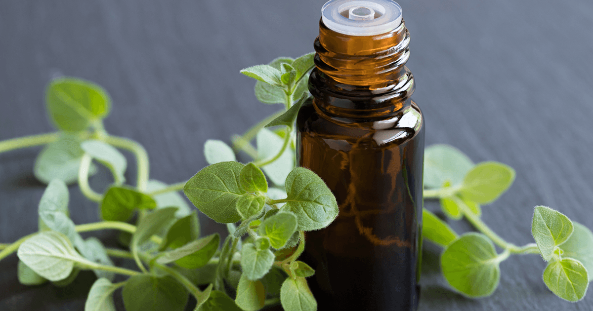 Does Oil Of Oregano Prevent Colds? - Chatelaine