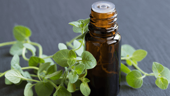 Can Oil Of Oregano Actually Prevent Colds?