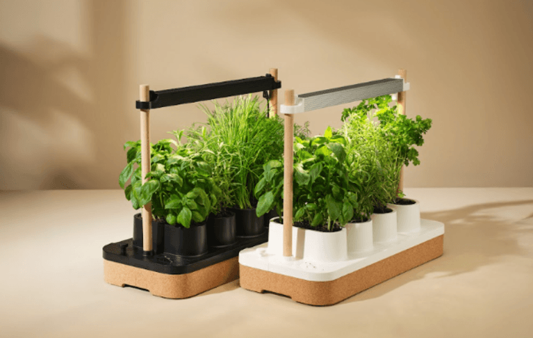 Two countertop Auk Mini indoor gardening systems displayed side-by-side against a warm beige background. Each unit features a natural cork base, wooden vertical posts, and an overhead LED grow light bar. The unit on the left features a black planting tray and black light fixture, while the unit on the right has a white tray and silver light fixture. Both are overflowing with lush, full-grown herbs, including basil, chives, and parsley.