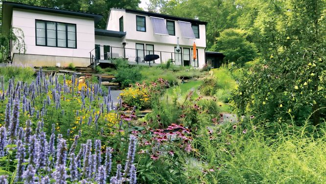 How To Rewild Your Lawn