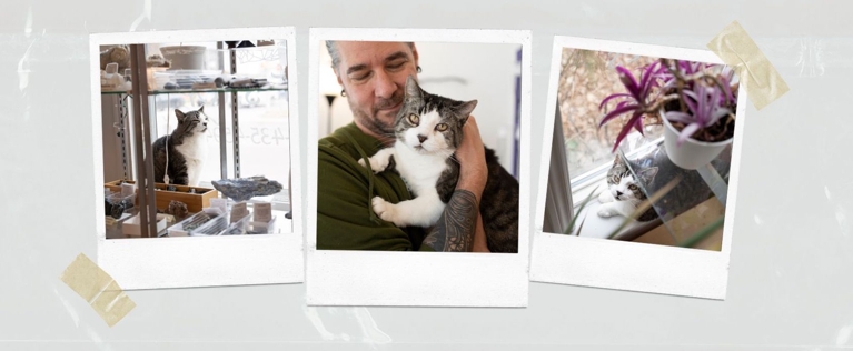 Love Lives Here: A Tale Of Three Tails