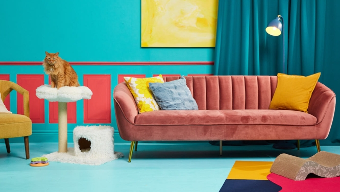 10 Purr-fect Products For A Stylish And Stimulated Kitty