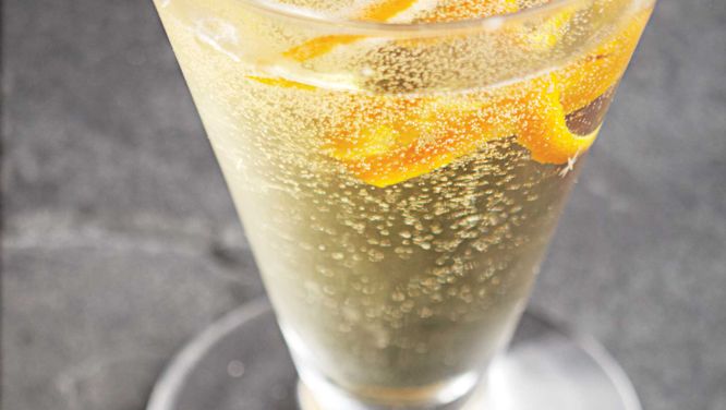 Icewine Vodka Fizz
