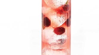 Cranberry-Ginger Cocktail