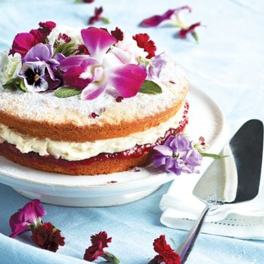 Victoria Sponge Cake With Mascarpone-Vanilla Cream