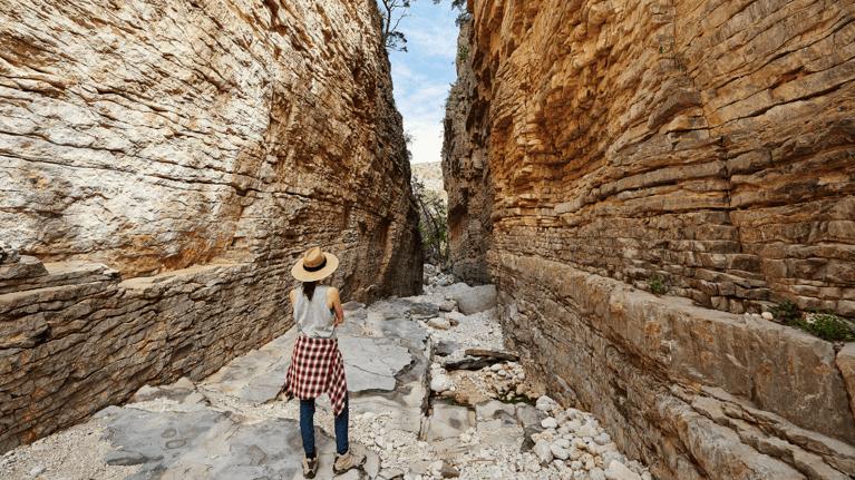 7 Regions Of Texas For Every Kind Of Traveller