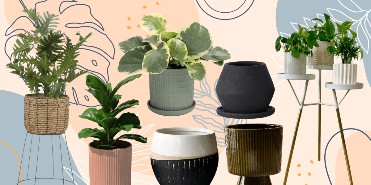 11 Chic Canadian Planters and Plant Stands - Chatelaine