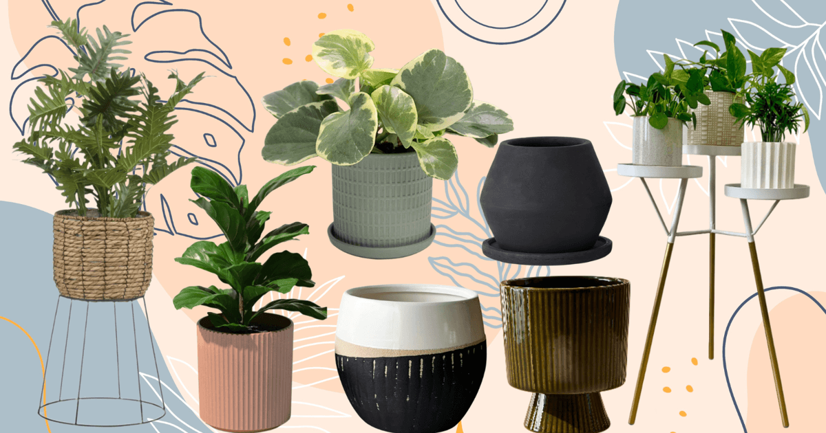 11 Chic Canadian Planters and Plant Stands - Chatelaine