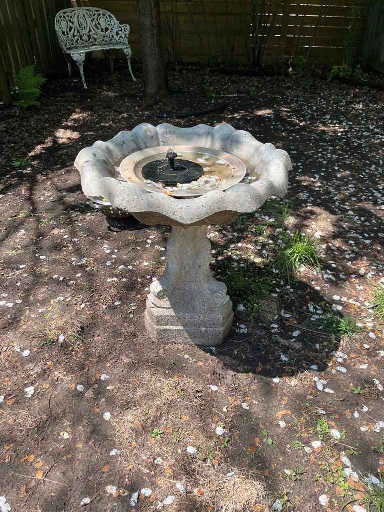 A solar-powered birdbath bubbler in action in a concrete vintage birdbath