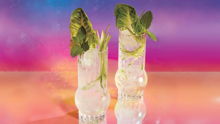 Two highball glasses filled with crushed ice and mint vinegar syrup, topped with sparkling water. They are garnished with julienned cucumber and lettuce leaves.