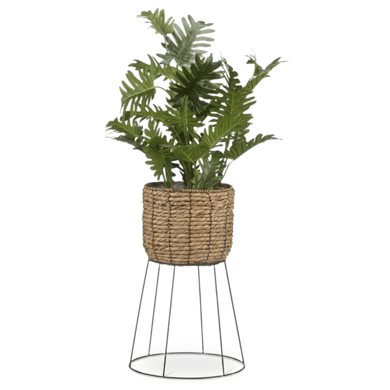 Canadian Planters and Plant Stands: Bouclair Natural Rattan Planter on Metal Legs