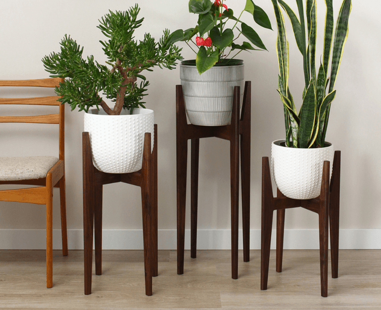 Canadian Planters and Plant Stands: David and Rau Walnut Plant Stand