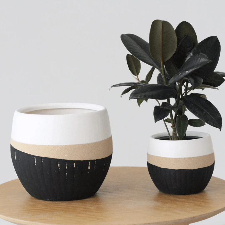 Canadian Planters and Plant Stands: Sprout & About Texture Dipped Ceramic Planter Vase