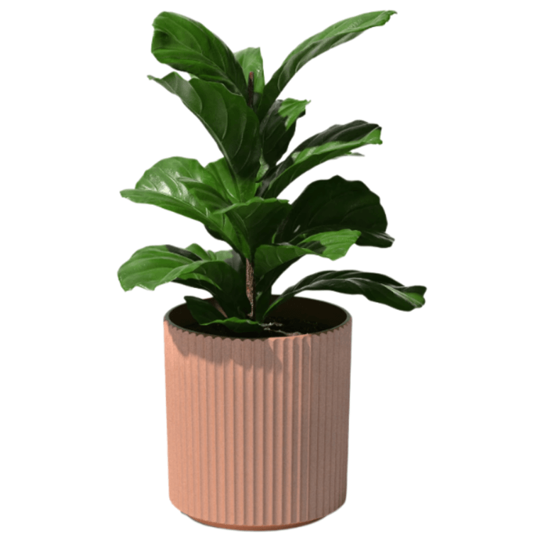Canadian Planters and Plant Stands: Veradek Demi Planter