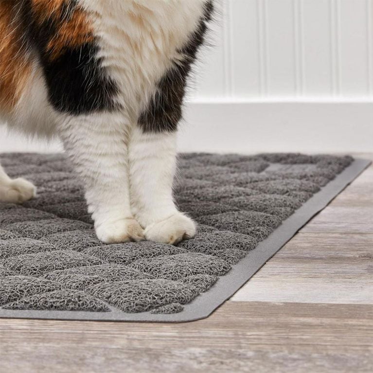 A cat stepping onto a Gorilla Grip litter mat for an article about Chatelaine editors best purchases for July 2025.