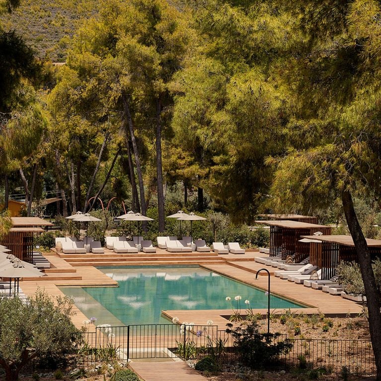 An adult-only pool surrounded by a pine grove for a review of the Club Med Gregolimano resort in Greece.