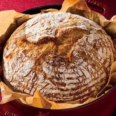 Big-Batch No-Knead 100% Whole-Wheat Bread