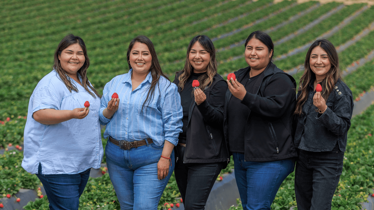 How Family-Run California Strawberry Farms Bring Berries to Our Stores