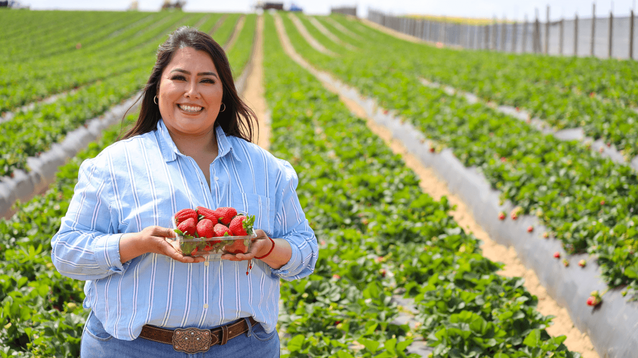 How Family-Run California Strawberry Farms Bring Berries to Our Stores