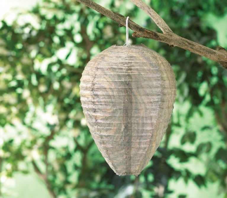 a bee free fake wasp nest to deter wasps