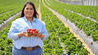 How Family-Run California Strawberry Farms Bring Berries to Our Stores