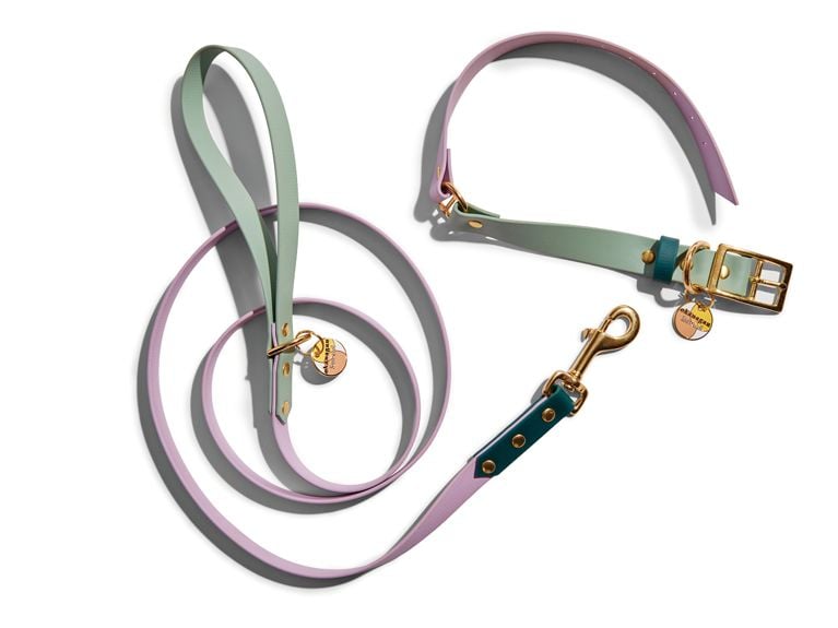 A matching lavender and green dog collar and leash set from Okanagan Hound.