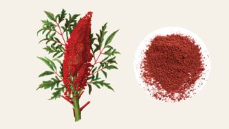 It’s Time To Add Some Sumac To Your Pantry