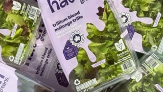 The Ontario-Grown Lettuce We Love Is Now At Costco
