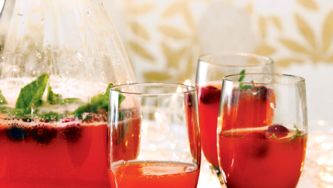 Sparkling Pomegranate Punch Bowl