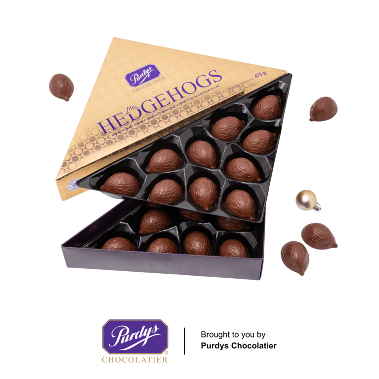 Cute little hedgehog shaped chocolates in a gold, triangle box.