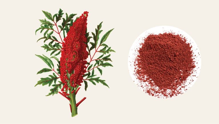 An illustration of sumac, both in plant form (the red berries) and as a powdered spice.