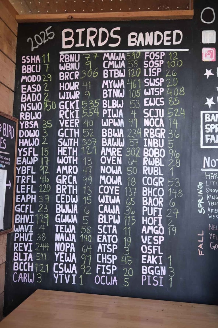 A bird banding board at Petbo