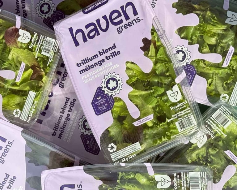 Top-down view of an open clear plastic container filled with Haven Greens Trillium Blend salad mix, showing the mix of bright green and darker red-leaf lettuce.