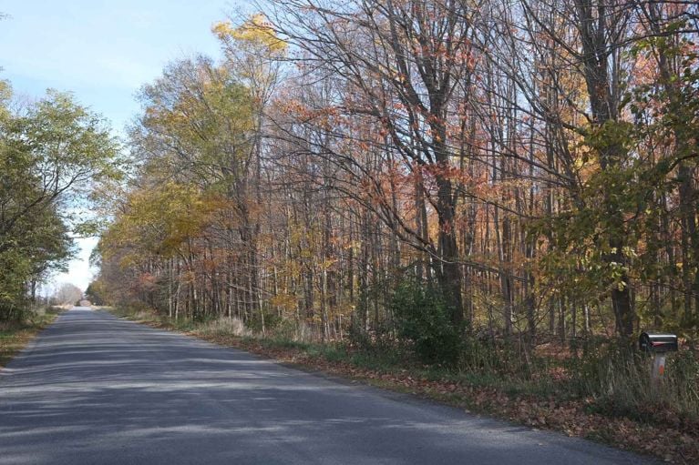 A country fall road in Prince Edward County