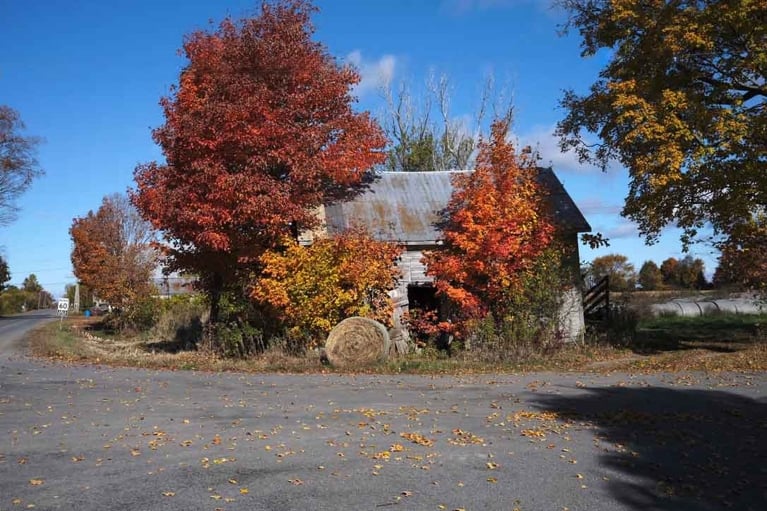 a barn in prince edward county