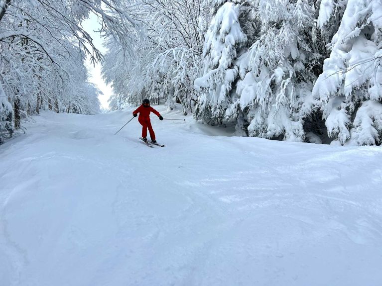 A skiier skiing down a snowy wooded trail