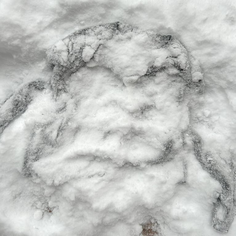 A grey cashmere sweater in snow for an article about how to snow wash sweaters.