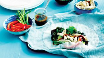 Easy Hoisin-Chicken Salad Rolls