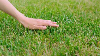 What The Heck Is Friction-Maxxing? (And Yes, It’s A Good Thing)