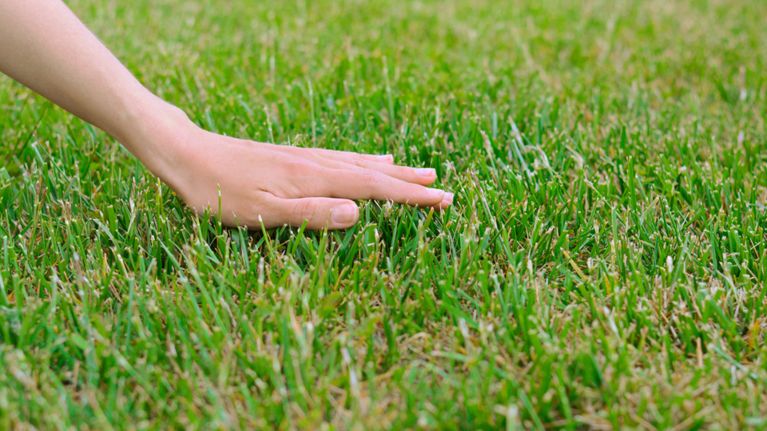 A woman's hand touching grass in a post about what is friction-maxxing.