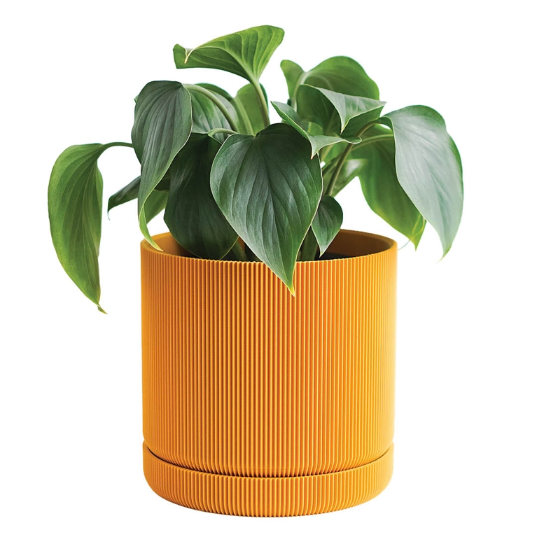 A yellow Conifer Homewares Hemlock Plant-Based Planter for an article about Mother's Day gifts from Canadian brands.