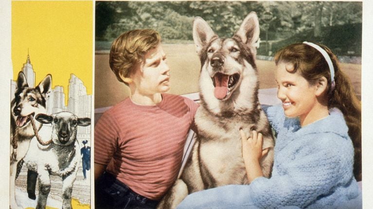 image from the "the littlest hobo" original CTV series for Getty Images