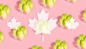 There’s Never Been A Better Time To Buy Canadian Lettuce